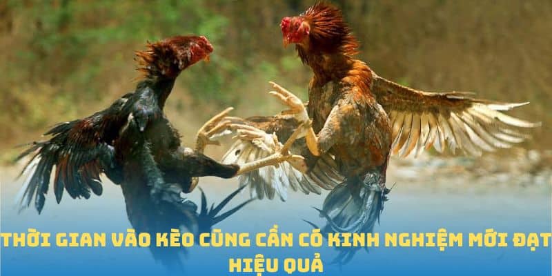 Thời gian vào kèo cũng cần có kinh nghiệm mới đạt hiệu quả